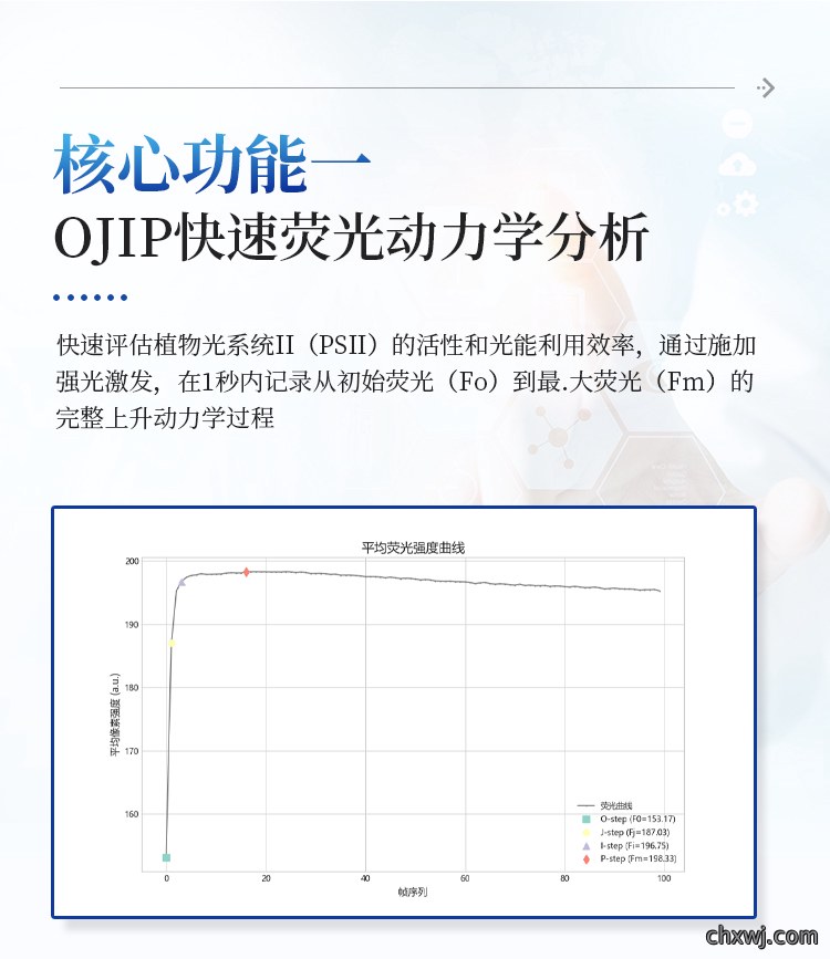 叶绿素荧光成像系统