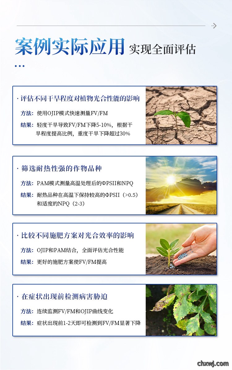 叶绿素荧光成像仪