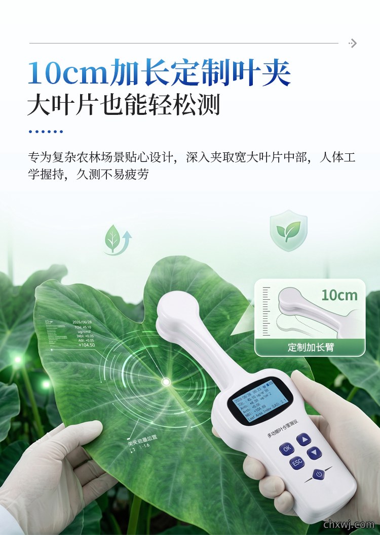 植物多酚叶绿素仪