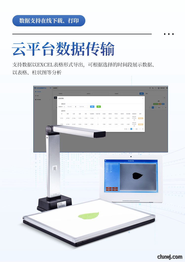 叶面积测定仪