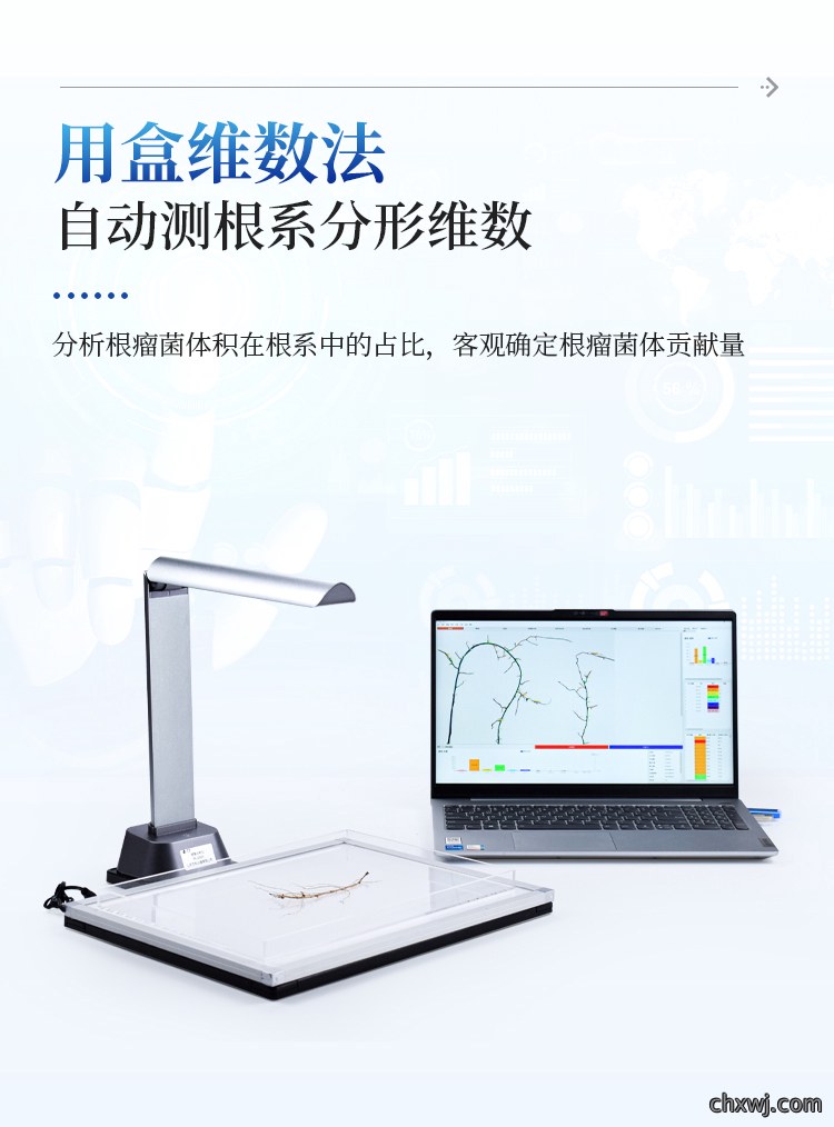 根系分析系统